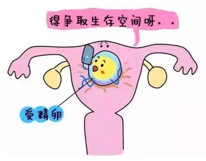 微信圖片_20240723090710 微信圖片_20240723090710