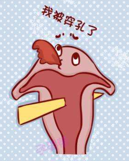 微信圖片_20240723090505 微信圖片_20240723090505